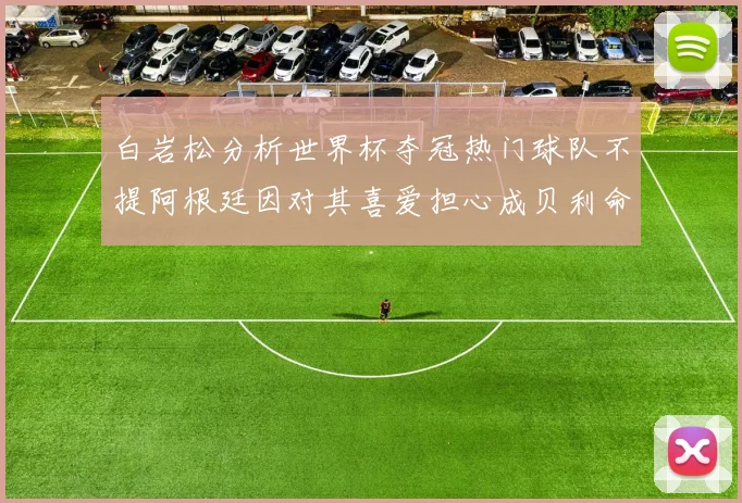 白岩松分析世界杯夺冠热门球队不提阿根廷因对其喜爱担心成贝利命运